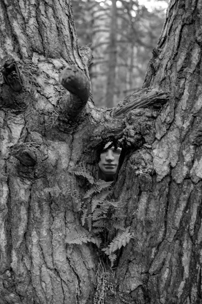 Фотография автора Александра Глубокова