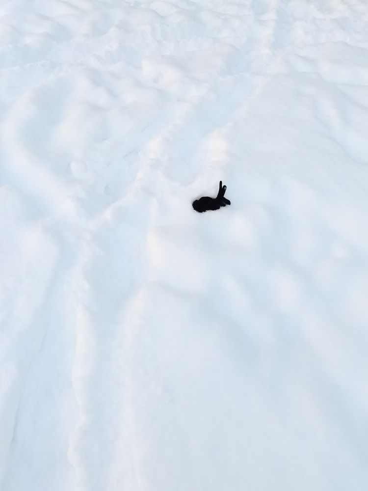 Photograph by Анастасия