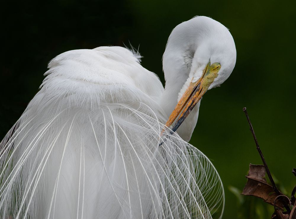 Photograph by Isabelle