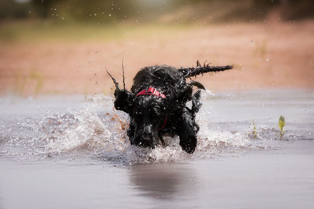 Photograph by Наталья Степанова