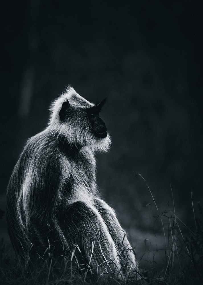 Photograph by Sarasija Ghosh