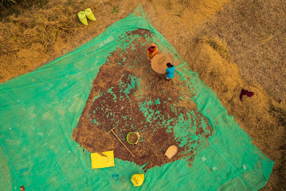 Photograph by Saurav Kumar Boruah