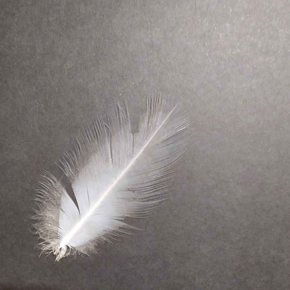 Photograph by Светлана Семенова