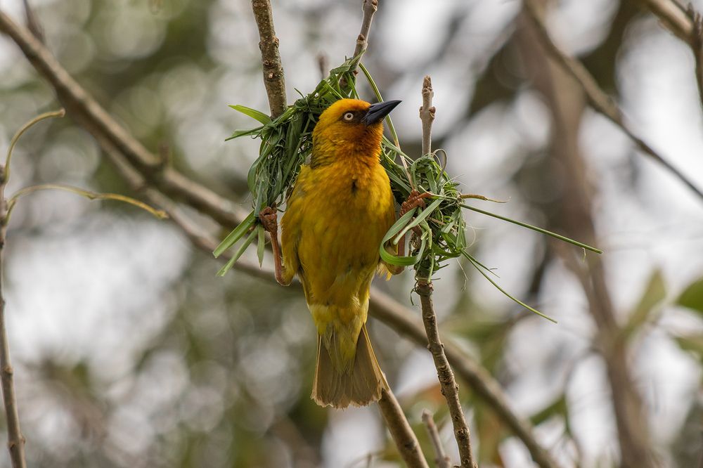 Photograph by Deon Oosthuizen