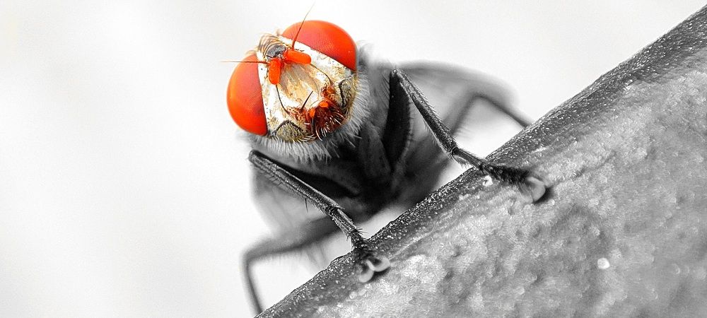 Photograph by GAUTAM GANGULY