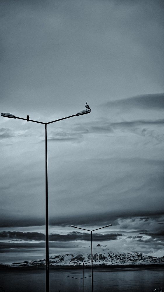 Photograph by Bir Gençlik Türkiye