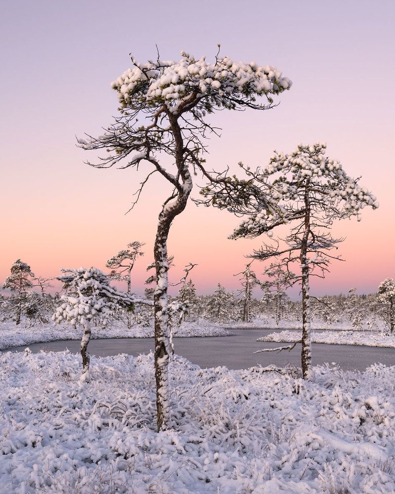 Photograph by Бушков Евгений