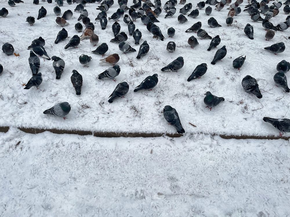 Photograph by Виктория Горельченко