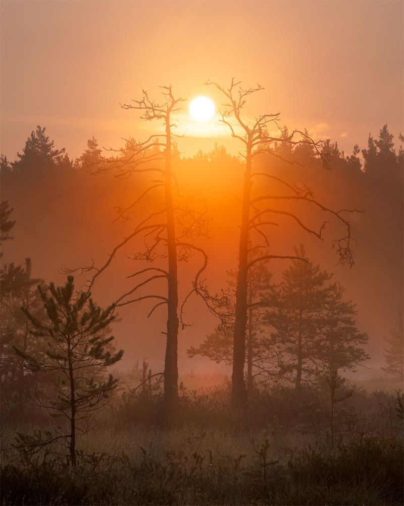 Photograph by Бушков Евгений