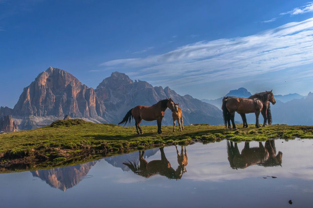 Фотография автора Krisztián Zámbó