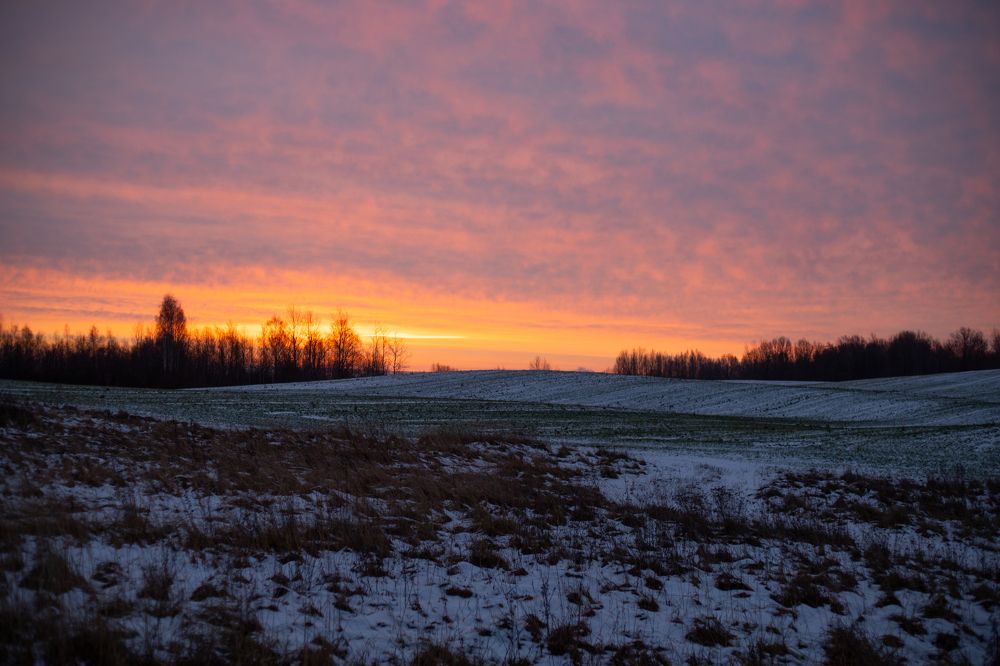 Photograph by Алексей Егоров