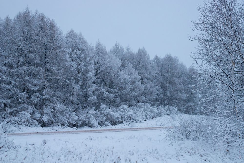 Photograph by Алексей Егоров