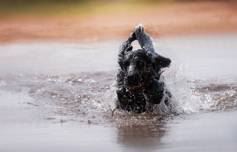 Photograph by Наталья Степанова