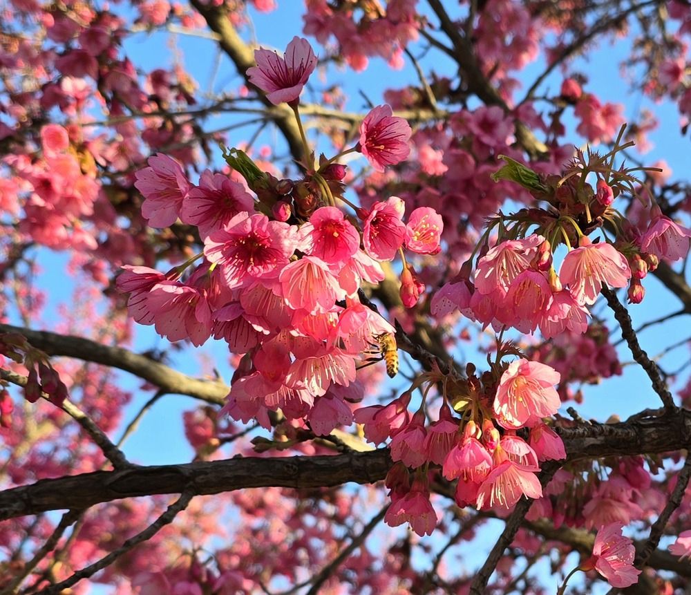 Photograph by Yulia Rotbach