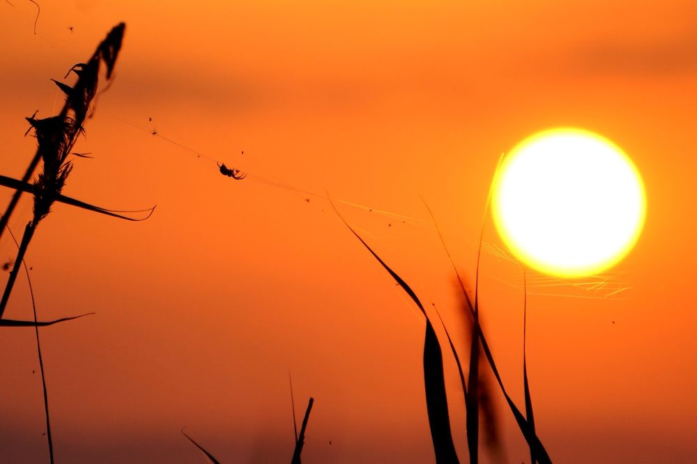 Photograph by Валерий