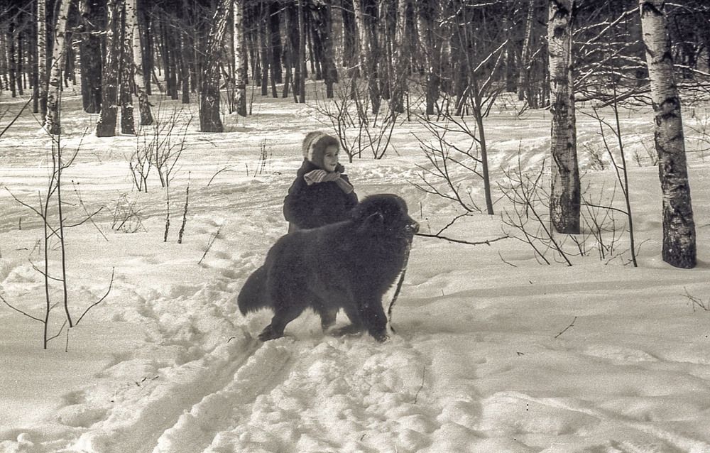 Photograph by Vladimir  Komarov