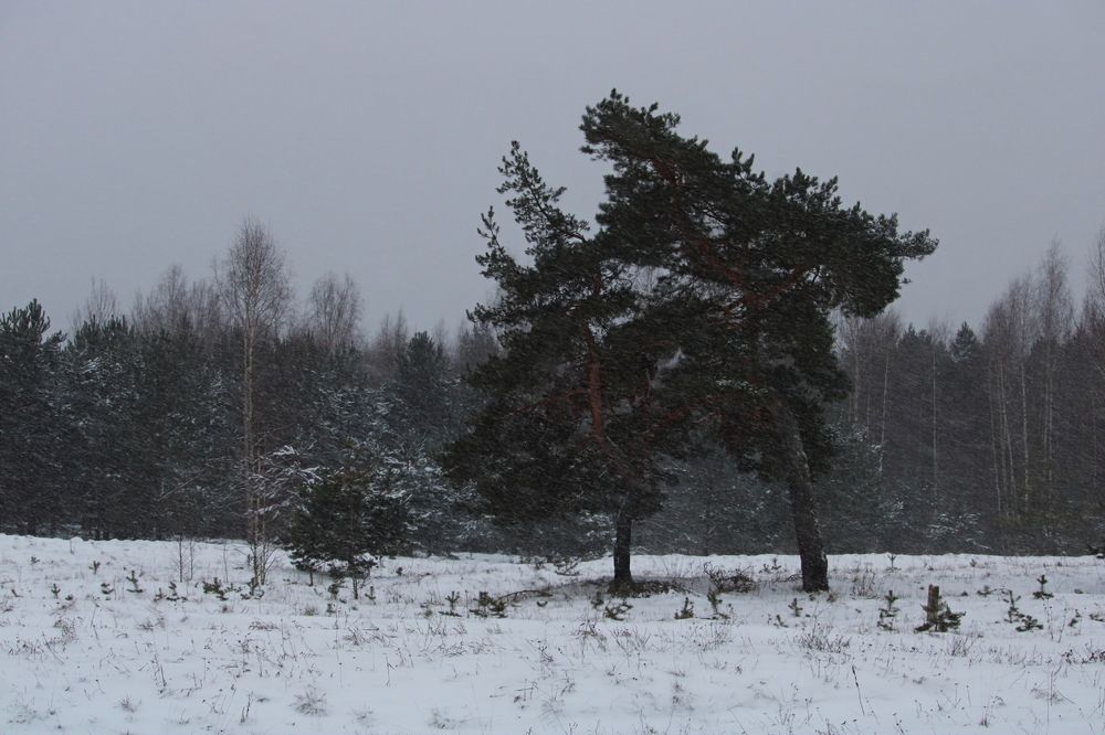 Photograph by Алексей Егоров