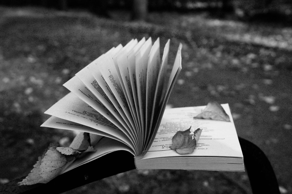 Photograph by Ирина Швейнова