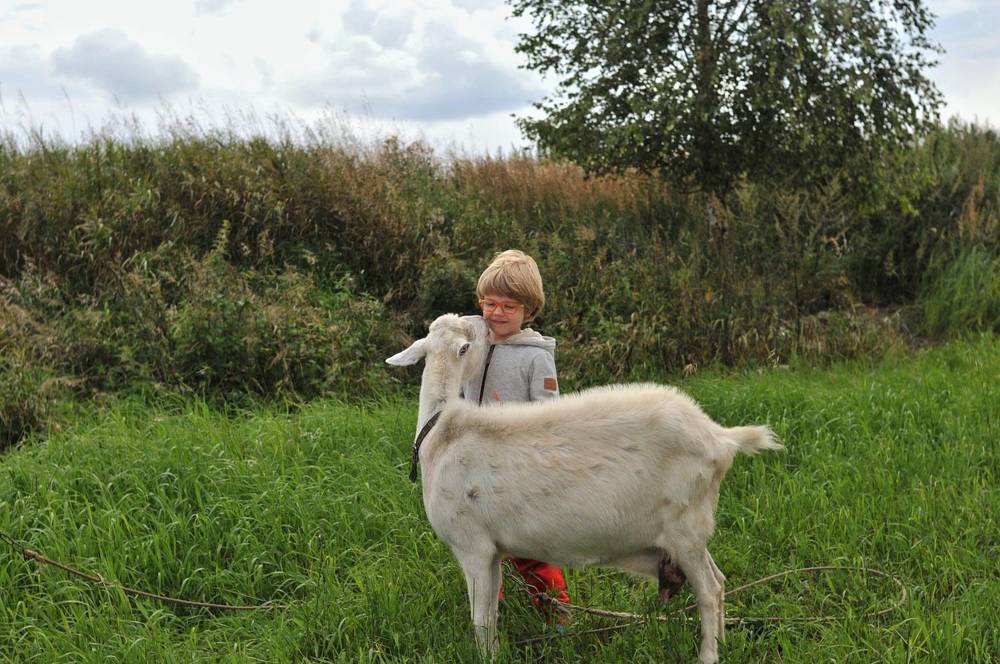 Photograph by Виктория Горельченко