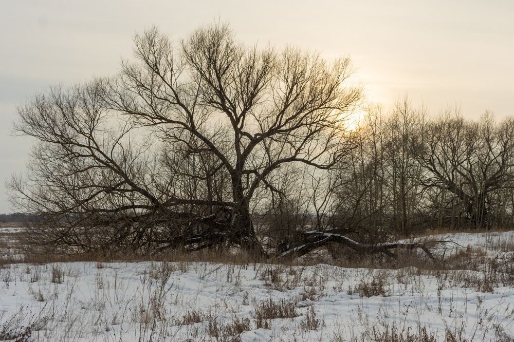 Photograph by Сергей Щербаков