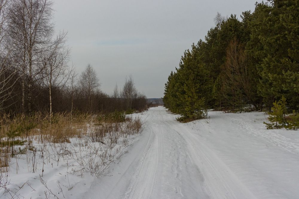 Photograph by Сергей Щербаков