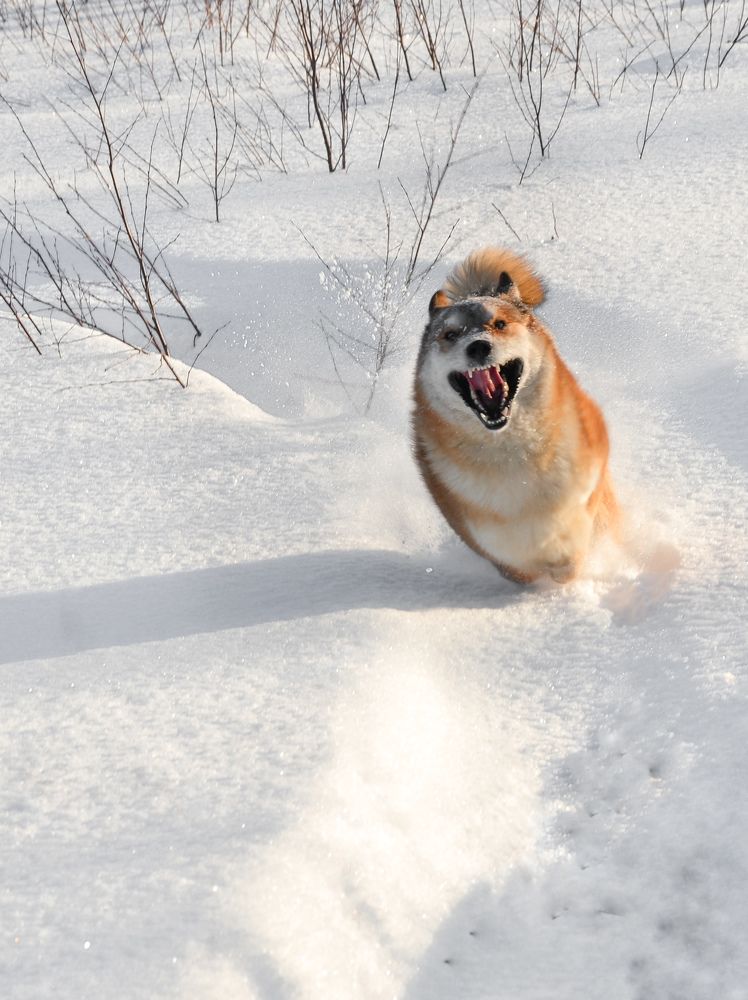 Photograph by Наталья Горовых