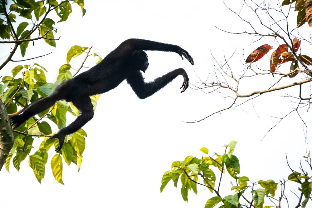 Photograph by Arnold Judson Samuel