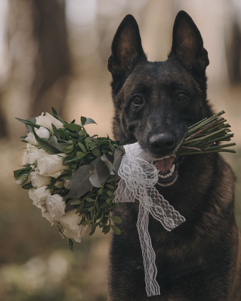 Photograph by Люда Солдатченкова