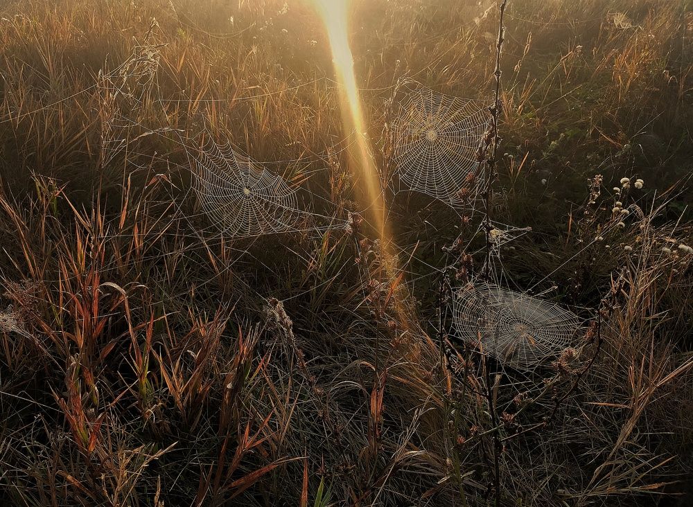 Photograph by Ольга Мартьянова