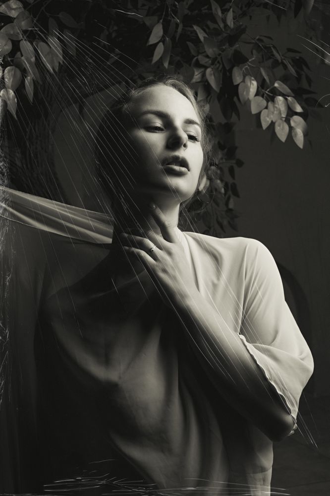 Фотография автора Александр Корчашкин