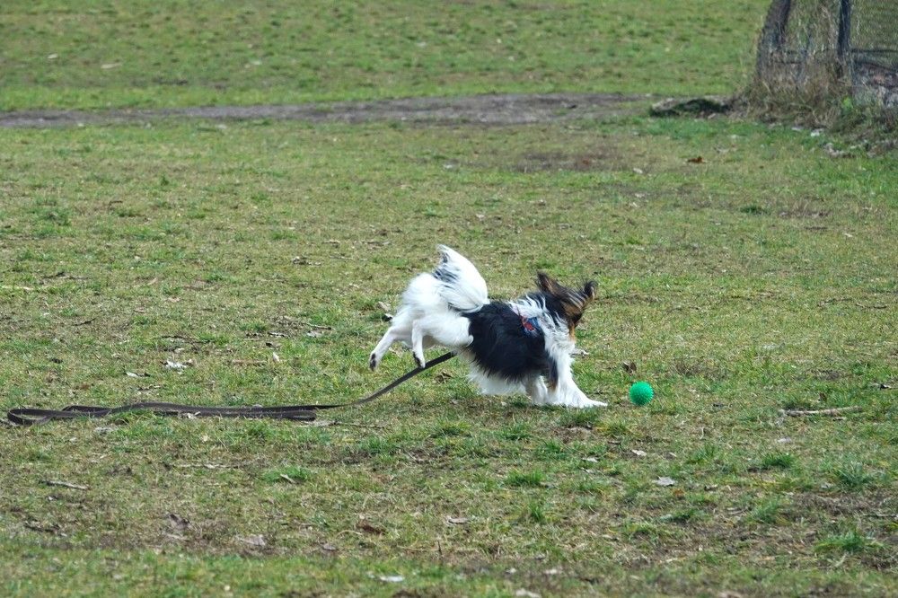 Photograph by jelena konickaja