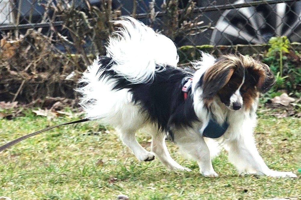 Photograph by jelena konickaja