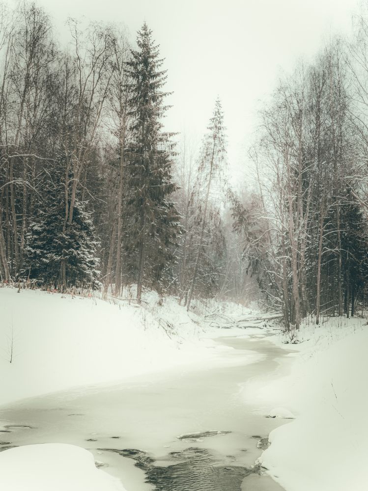 Дикая река.