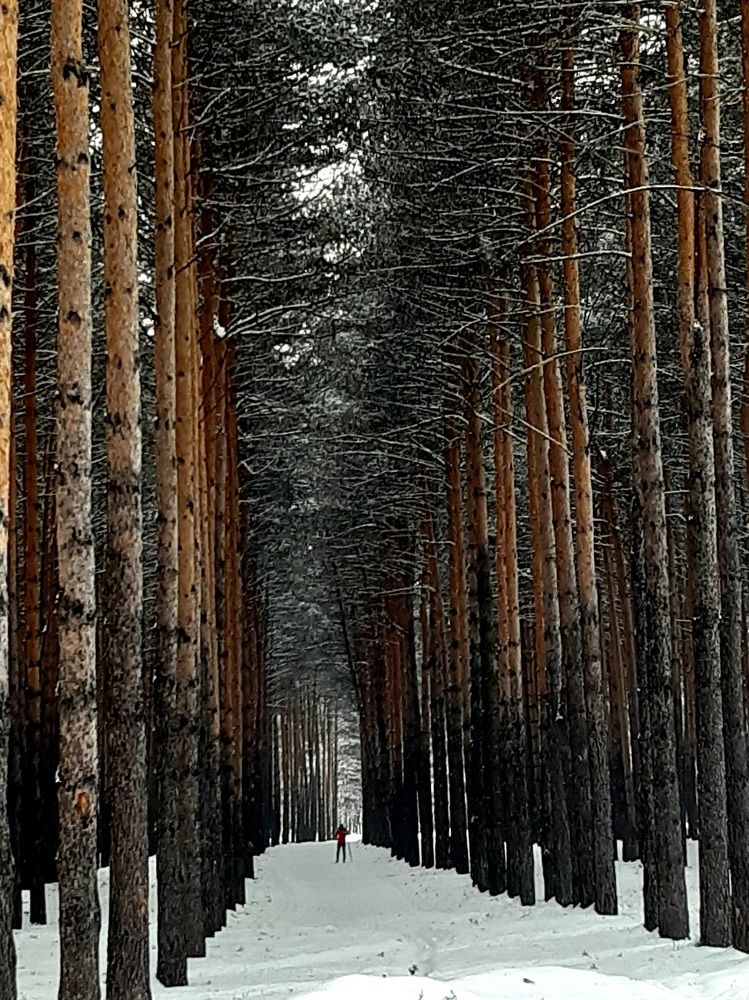 Фотография автора Наталья Шендяпина