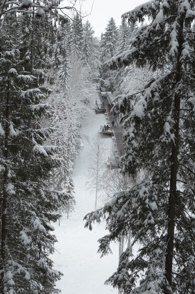 Photograph by Наталья Горовых