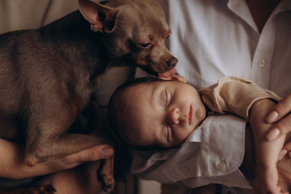 Photograph by Юлия Насифуллина