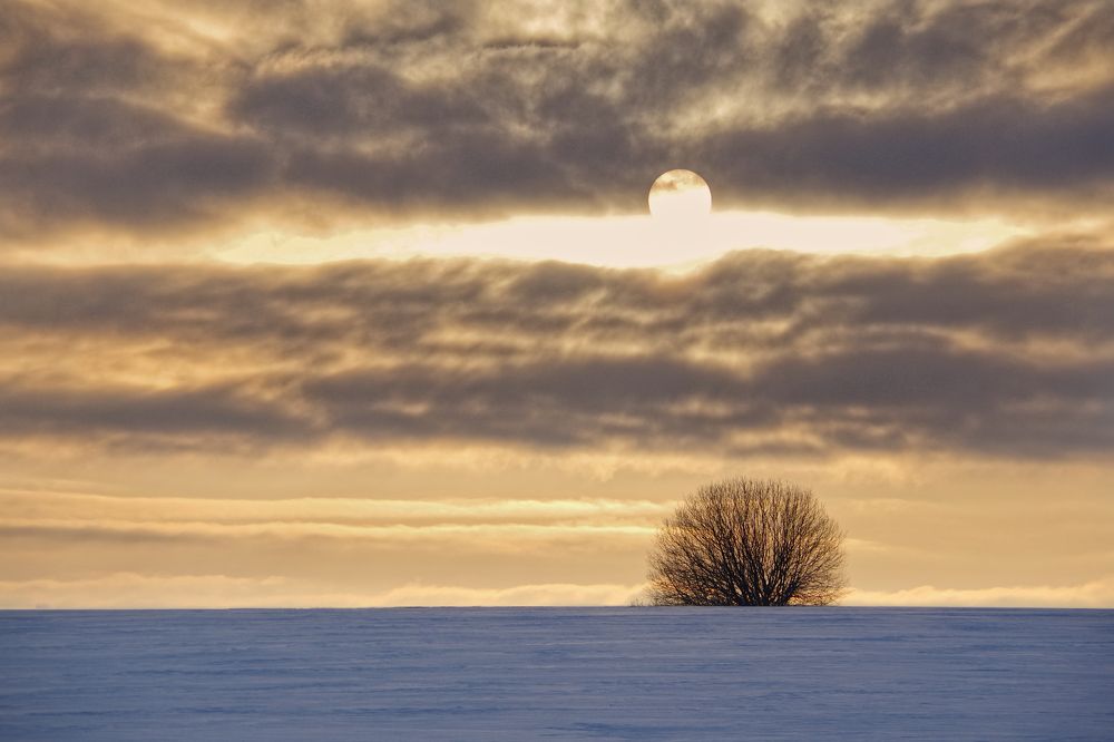 Photograph by Janek Kamja