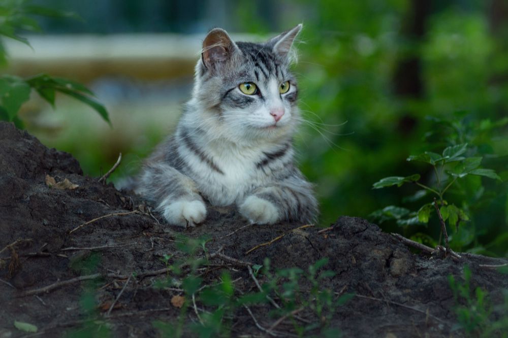 Photograph by Александр Канцур