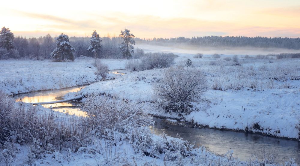 Зимним утром.