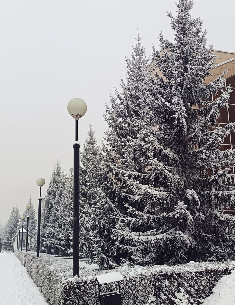 Photograph by Татьяна Корсакова