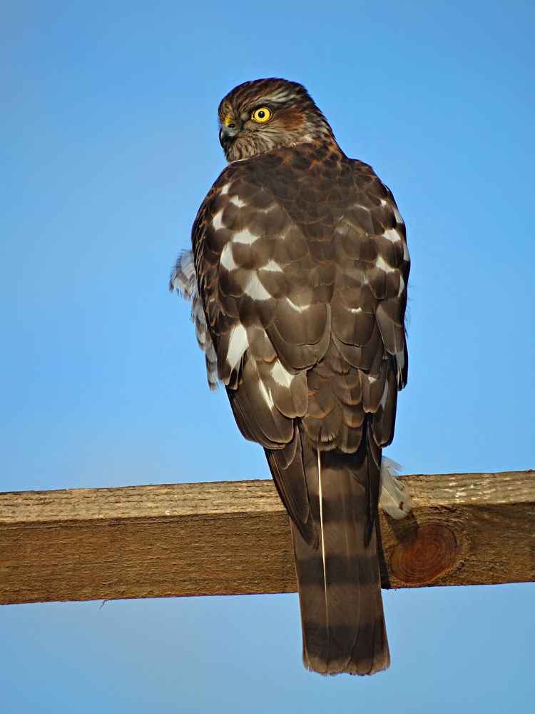 Photograph by Мария Широких