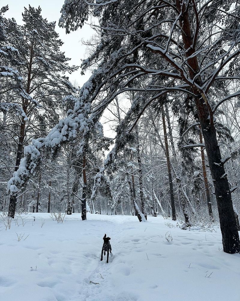 Photograph by Юлия Стародубцева