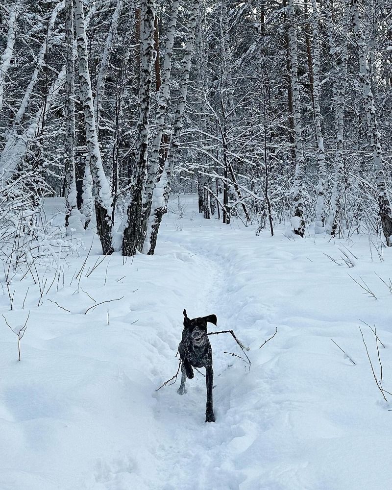 Photograph by Юлия Стародубцева