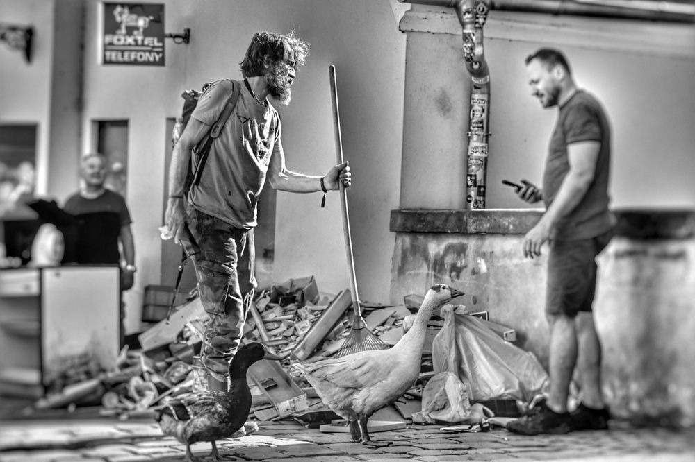 Photograph by Stella