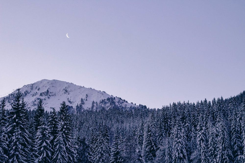 Photograph by Ekaterina Denisenko