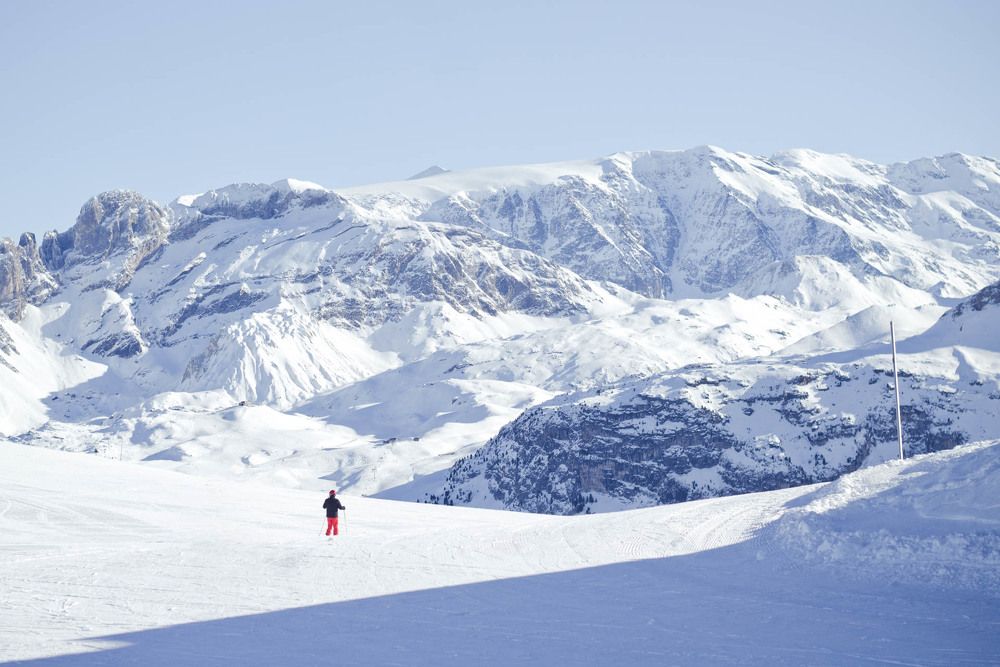 Photograph by Ekaterina Denisenko