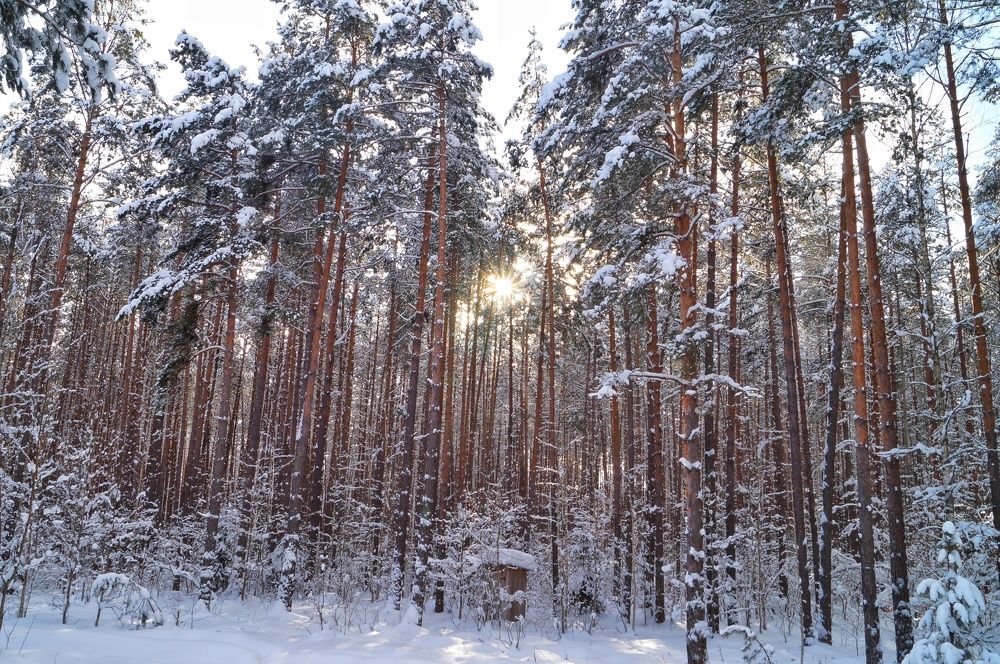 Photograph by Анна Богданова