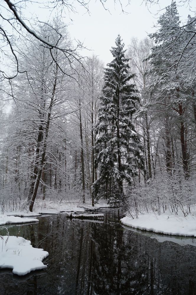 Photograph by Анна Богданова