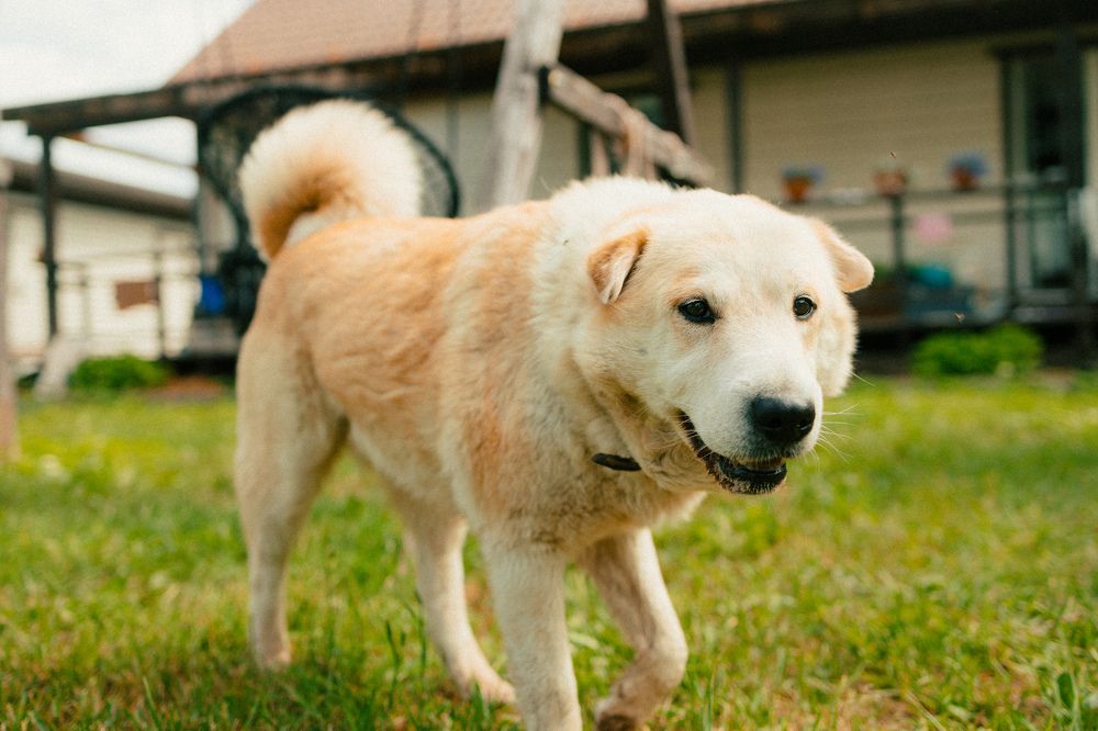 Photograph by Валерия Ефименко