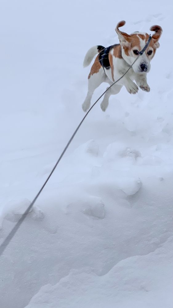 Photograph by Наталья Egoza